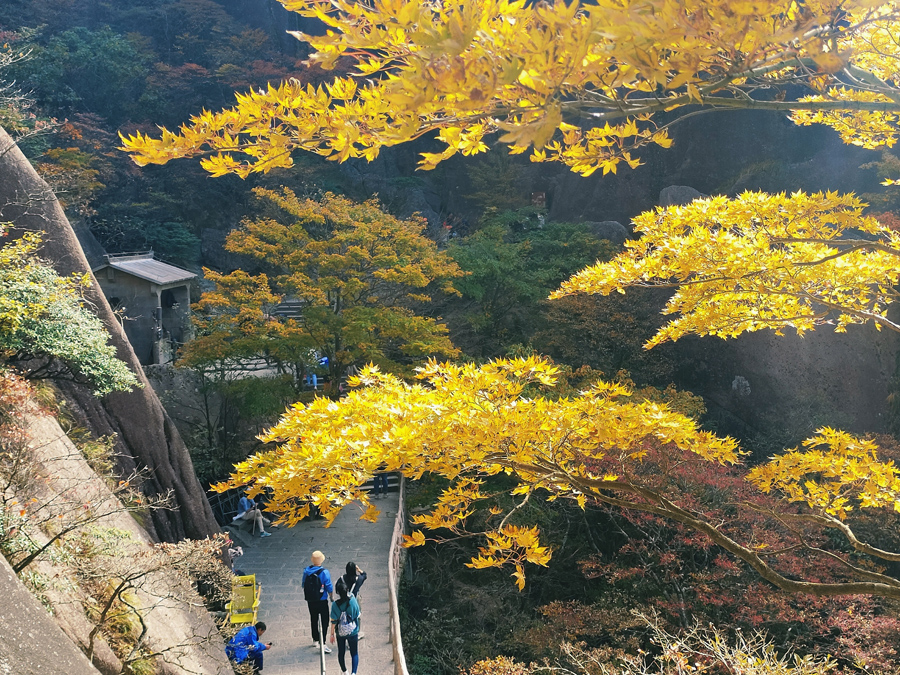 黄山秋意浓。许永杰摄