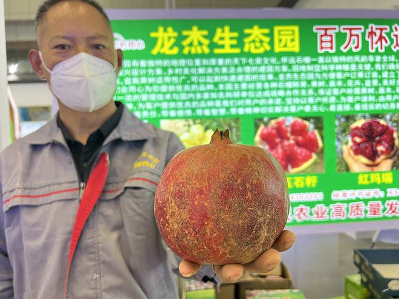 怀远石榴亮相展销会。张毅璞摄