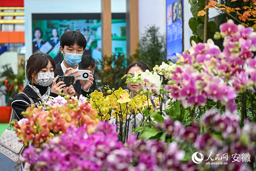 市民在展厅中拍摄各色花卉。人民网记者 苗子健摄