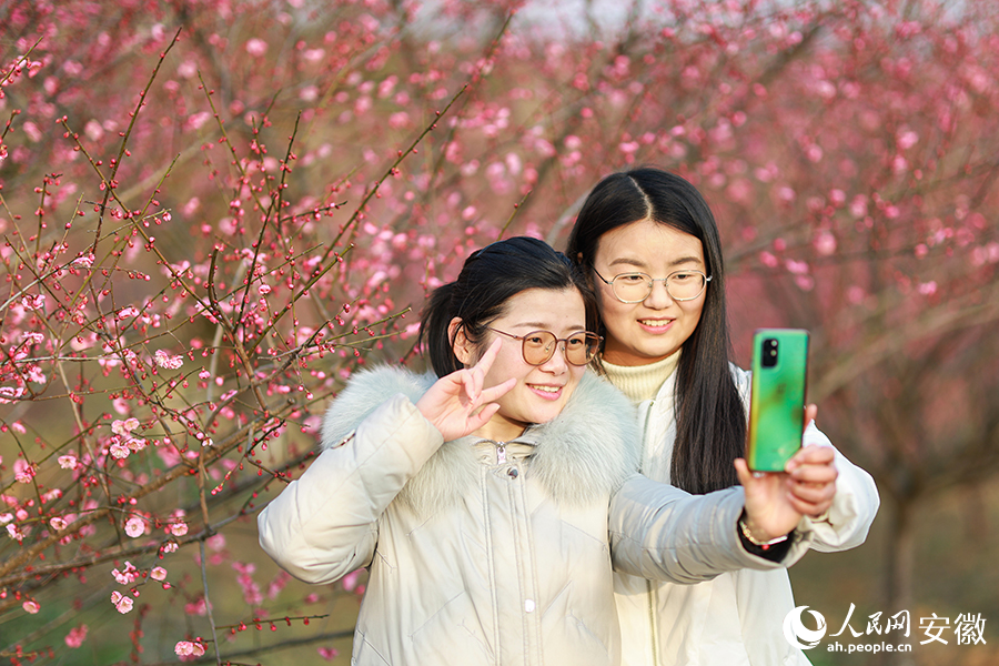 花间留影。人民网 张俊摄