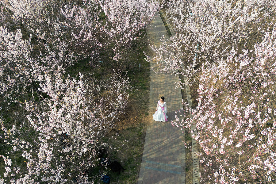 花海中的游客。陶俊摄