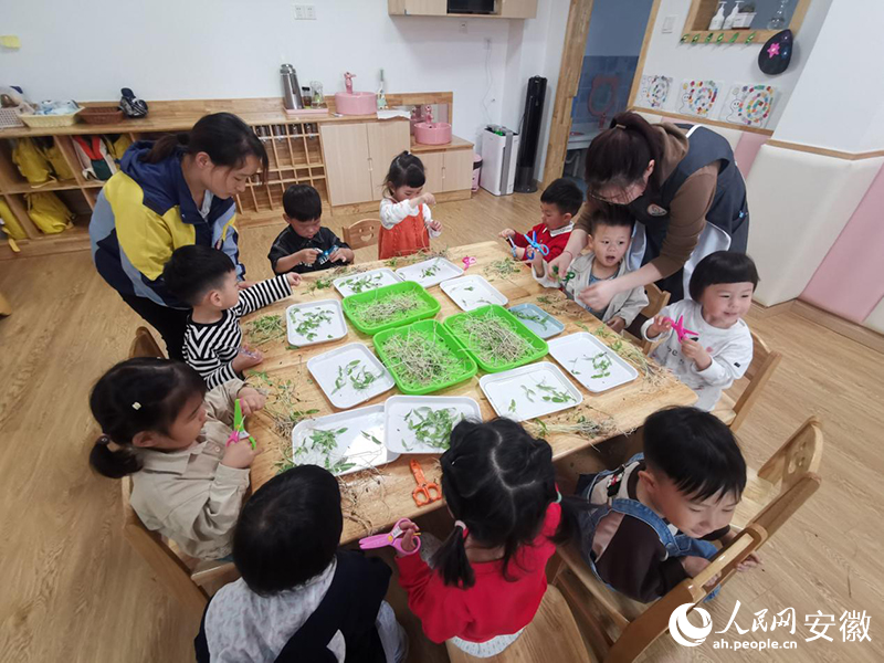 托育点内孩子们动手认识植物。人民网 陶伟摄