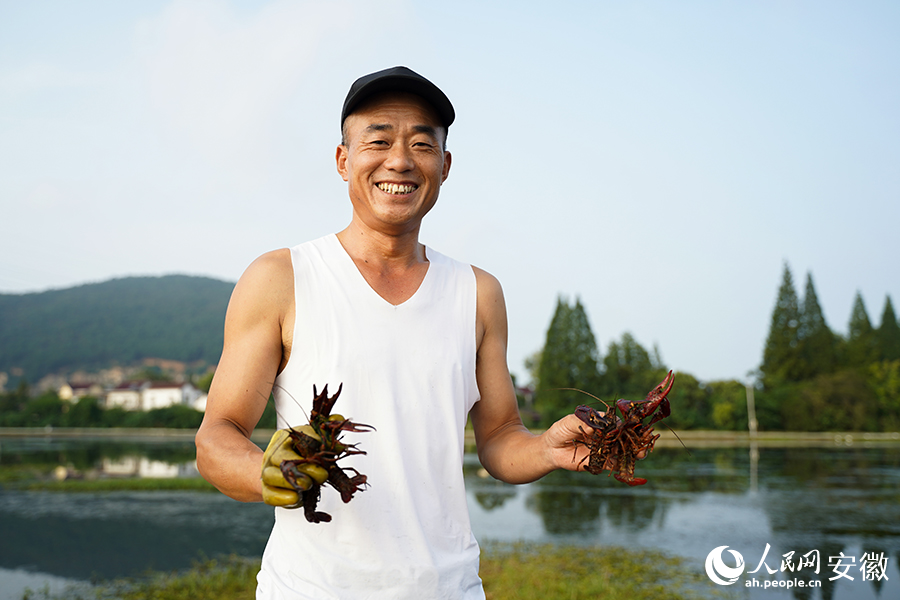 龙虾丰收，农户笑。人民网记者 王锐摄