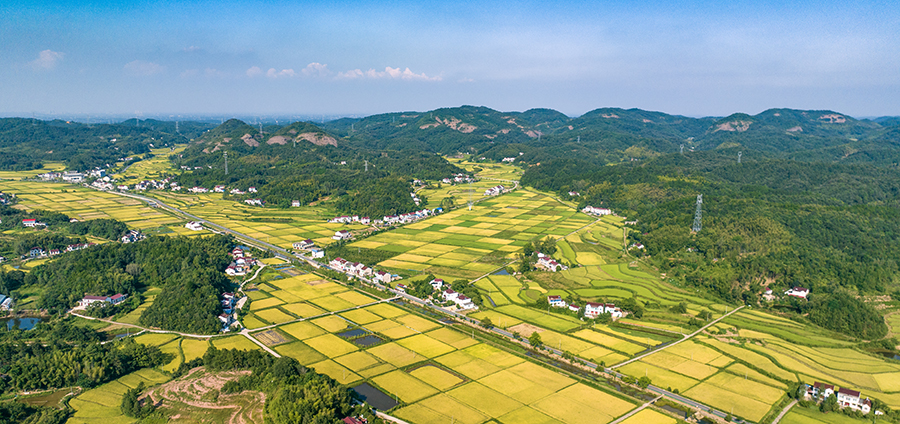 安徽霍山打造宜居水美乡村。董昌忠摄