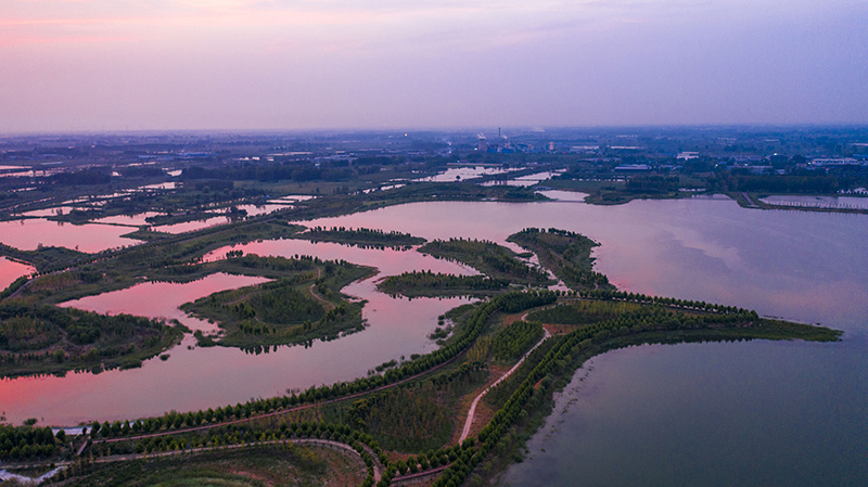 风景旖旎的凤栖湖湿地公园。濉溪县委宣传部供图