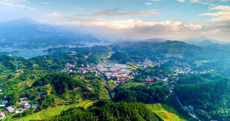 岳西县毛尖山乡王畈村航拍全景。