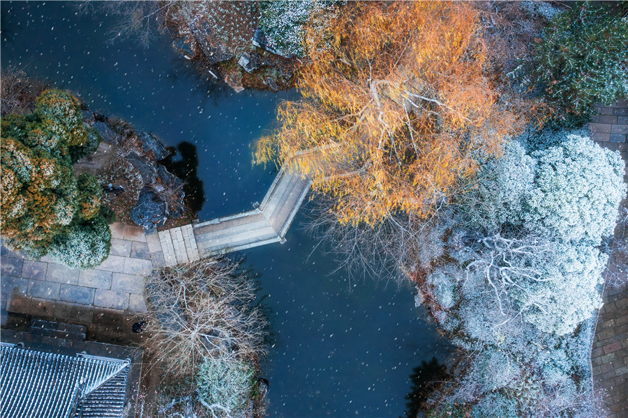 银装素裹的尤园雪景，景色宜人。张亚辉摄