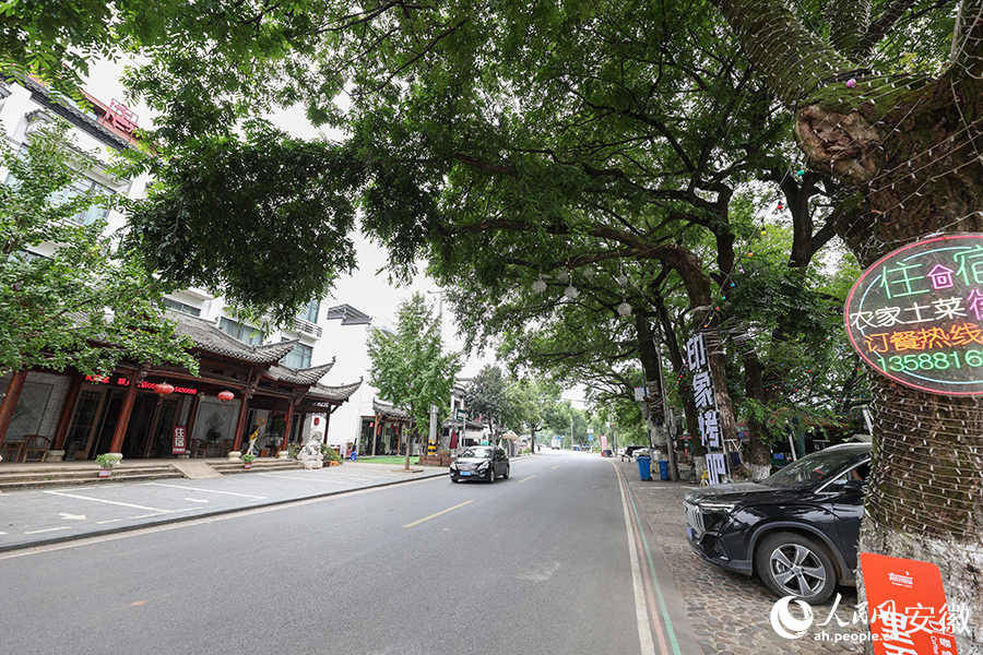 月亮湾景区，道路两侧随处可见的民宿。人民网记者 张俊摄